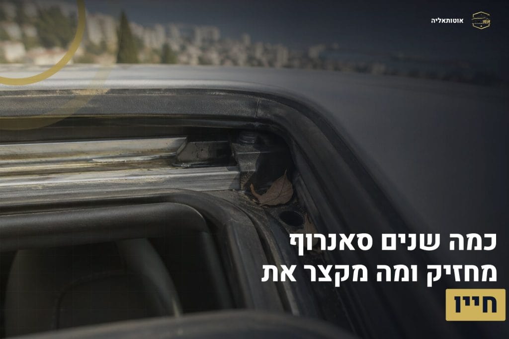 אורך חיי סאנרוף