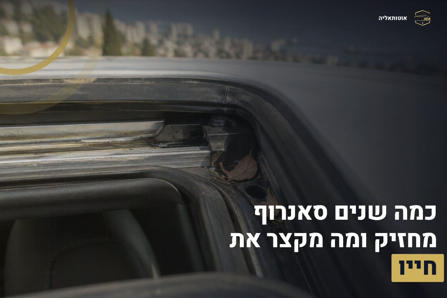 אורך חיי סאנרוף
